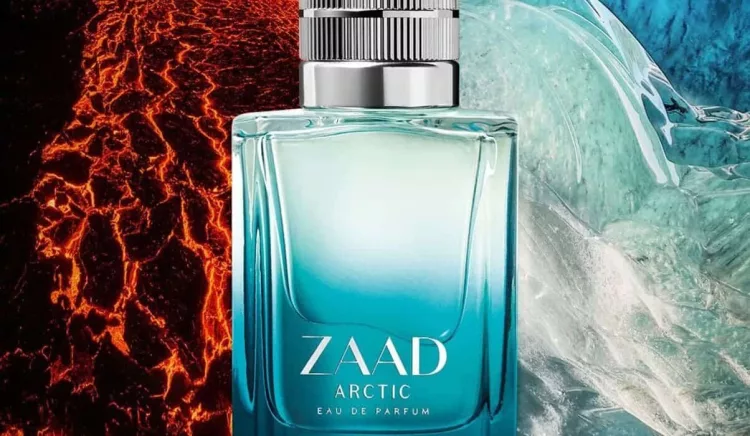 zaad arctic